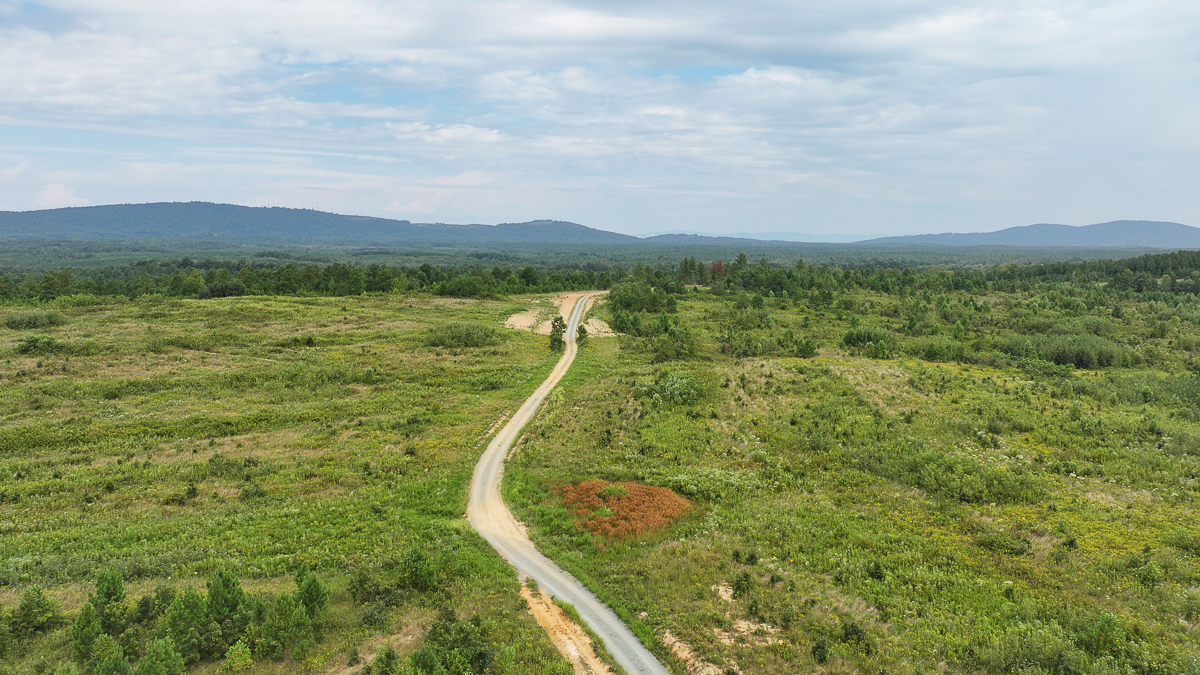 Transform Your Vision: Massive Acreage Ready for Hunting or Development