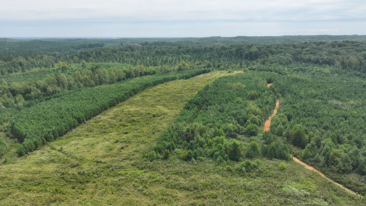 Transform Your Vision: Massive Acreage Ready for Hunting or Development