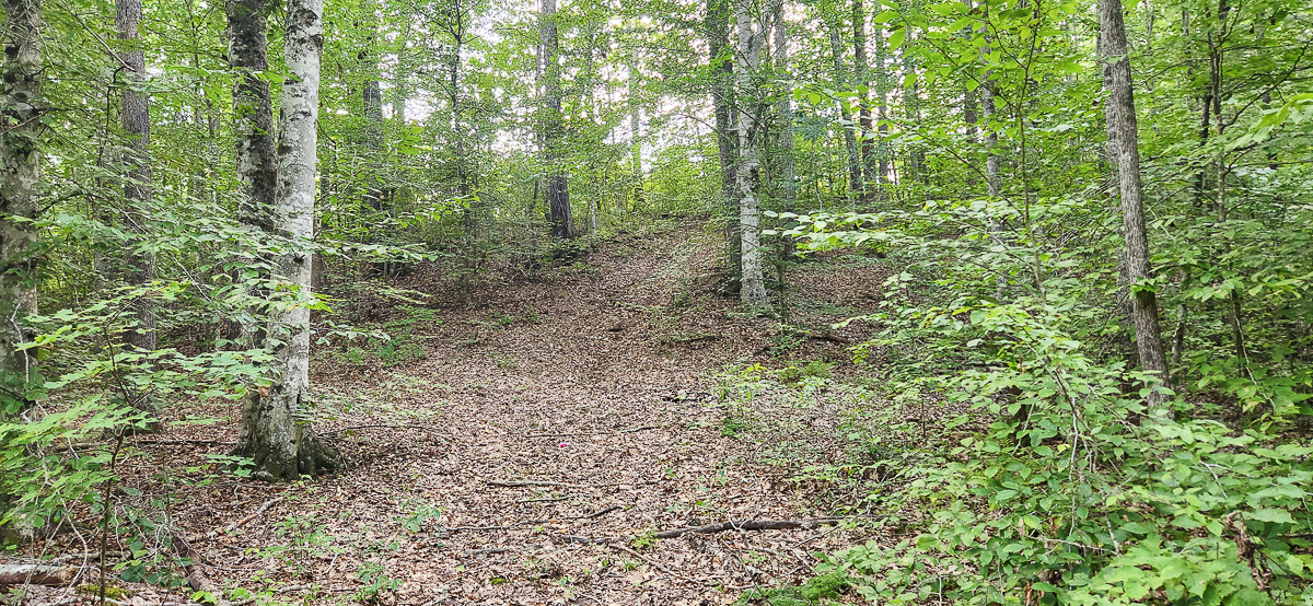 Transform Your Vision: Massive Acreage Ready for Hunting or Development