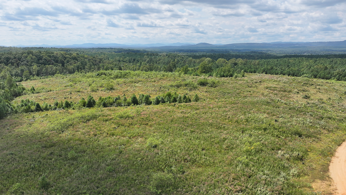 Transform Your Vision: Massive Acreage Ready for Hunting or Development