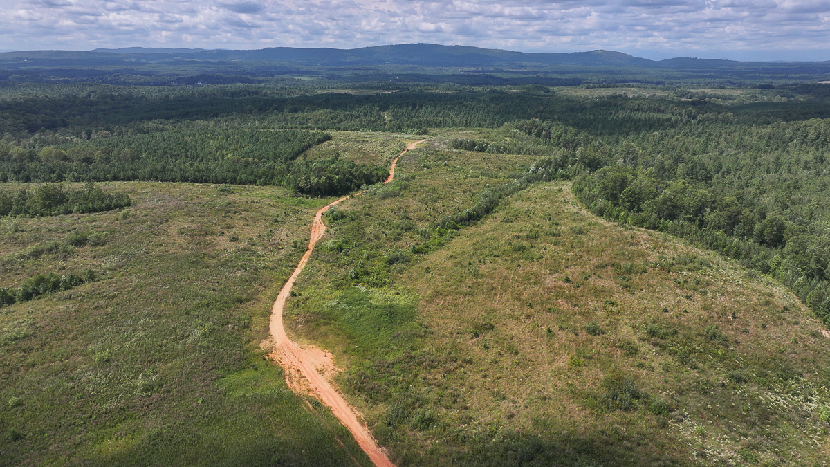 Transform Your Vision: Massive Acreage Ready for Hunting or Development