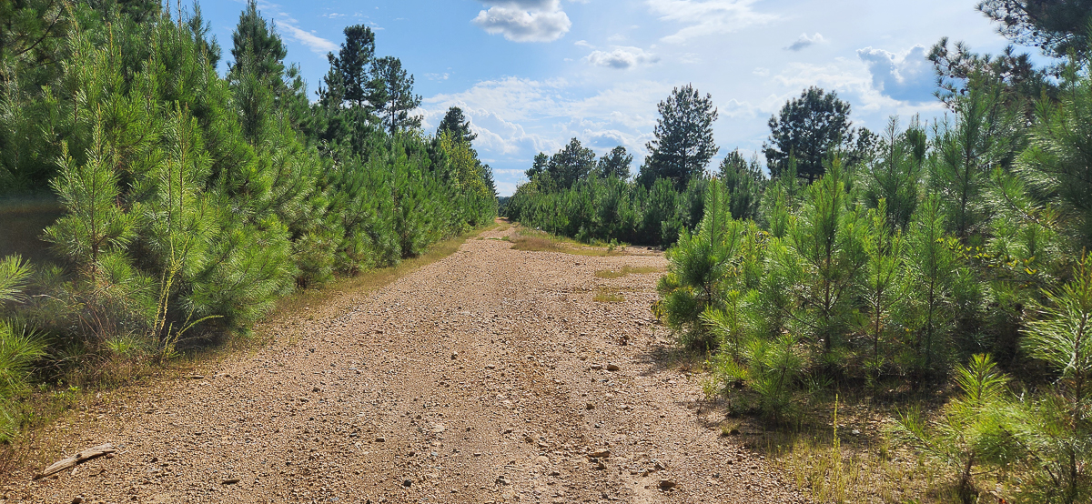 Transform Your Vision: Massive Acreage Ready for Hunting or Development