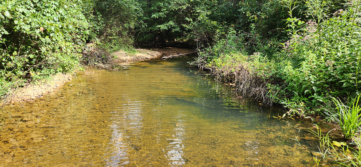 Transform Your Vision: Massive Acreage Ready for Hunting or Development