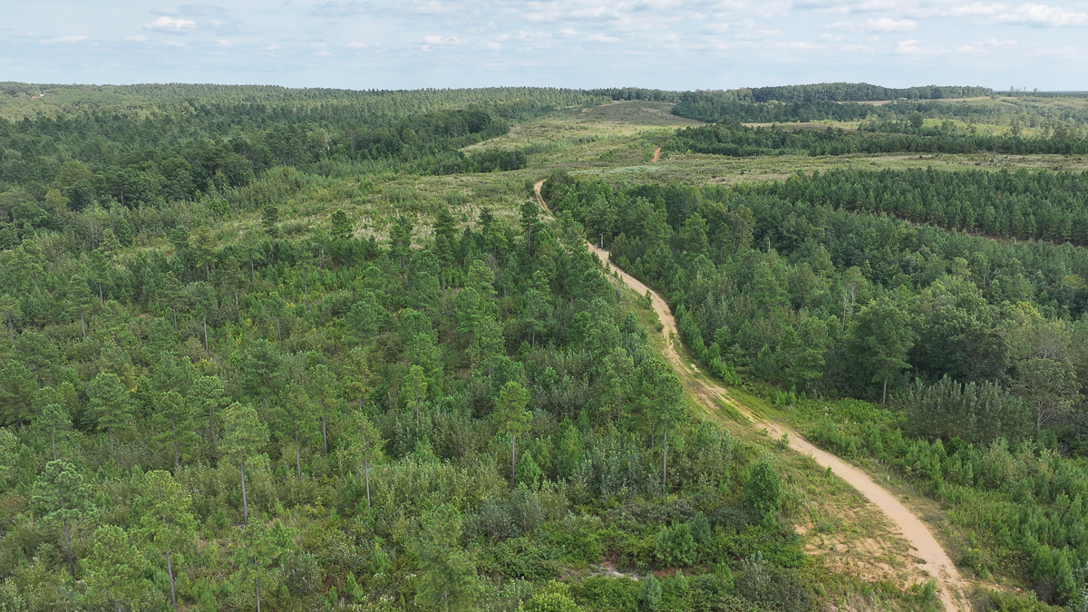 Transform Your Vision: Massive Acreage Ready for Hunting or Development