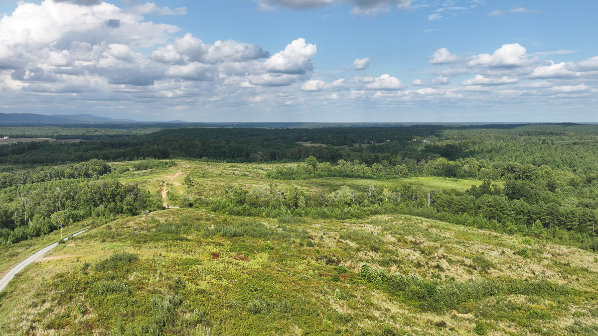 Transform Your Vision: Massive Acreage Ready for Hunting or Development