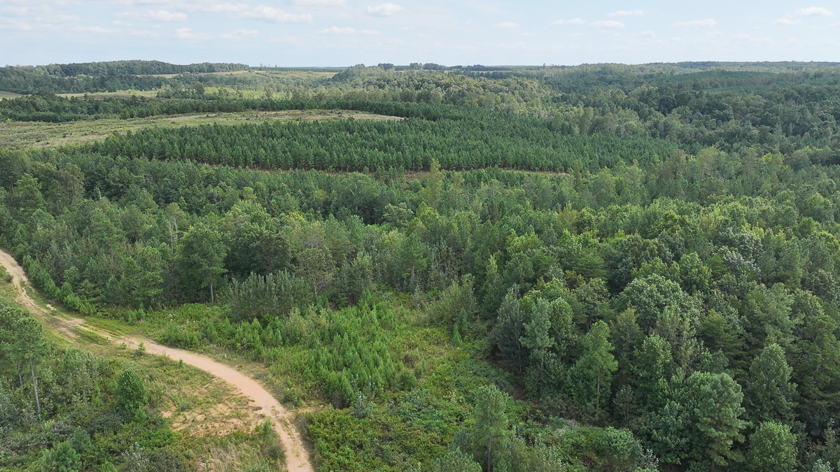 Transform Your Vision: Massive Acreage Ready for Hunting or Development