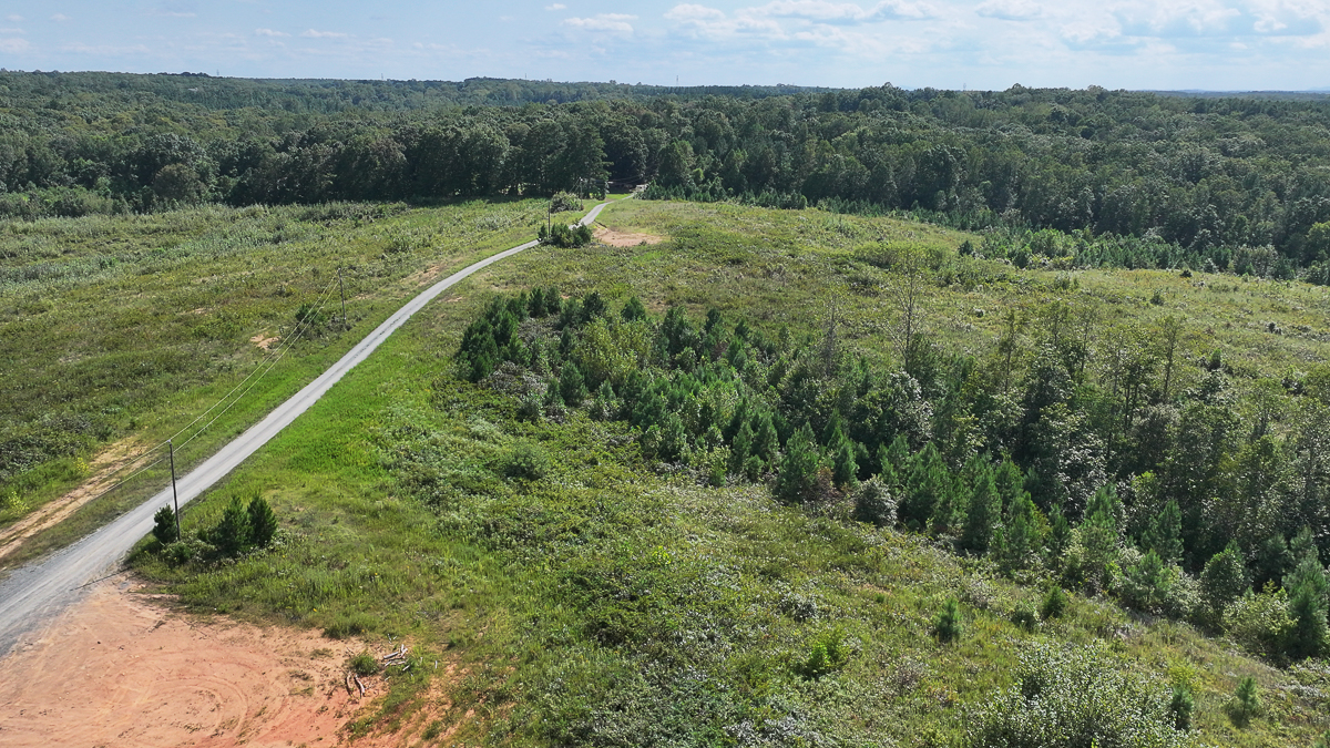Transform Your Vision: Massive Acreage Ready for Hunting or Development