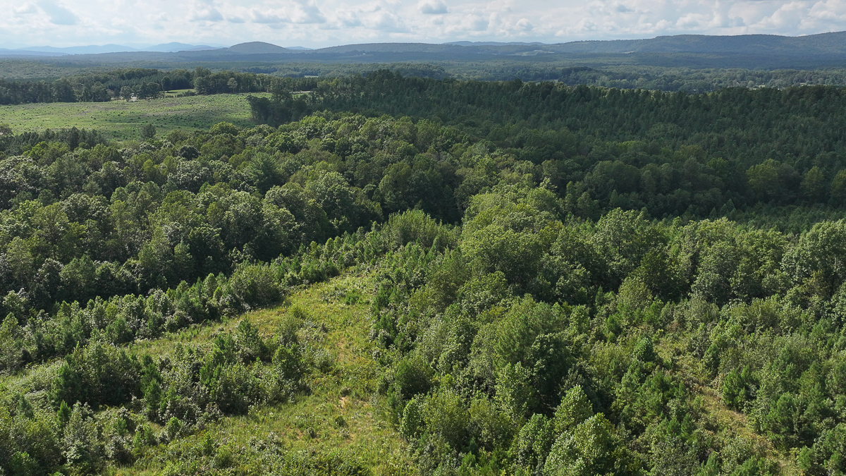 Transform Your Vision: Massive Acreage Ready for Hunting or Development