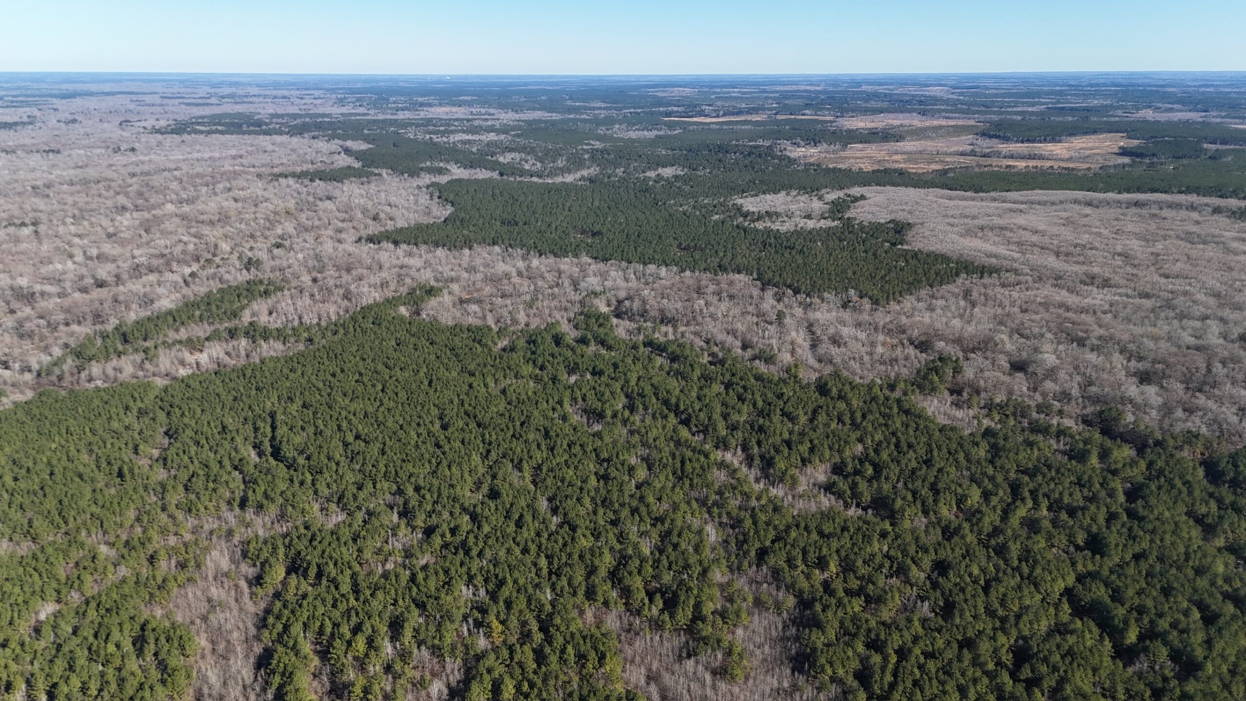Duck, Deer, and Fishing Land for Sale on Little River