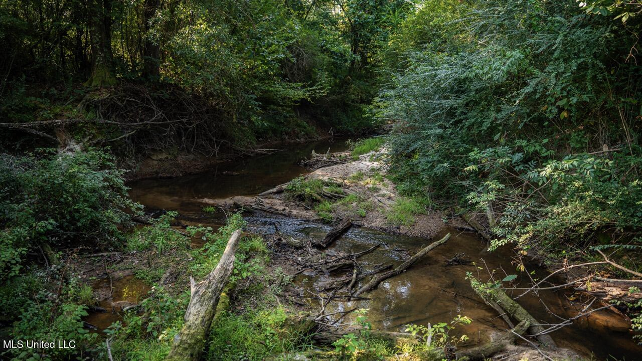 Cotton Creek 169 Acres for Sale in Amite County, MS