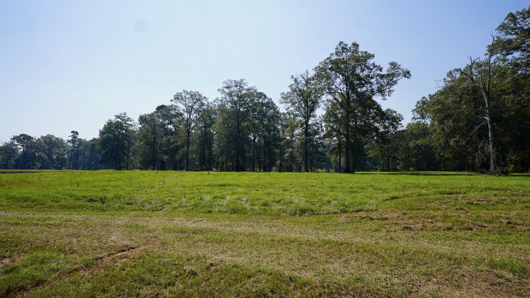 52.5 Acres of Recreational Land for Sale in Jones County MS