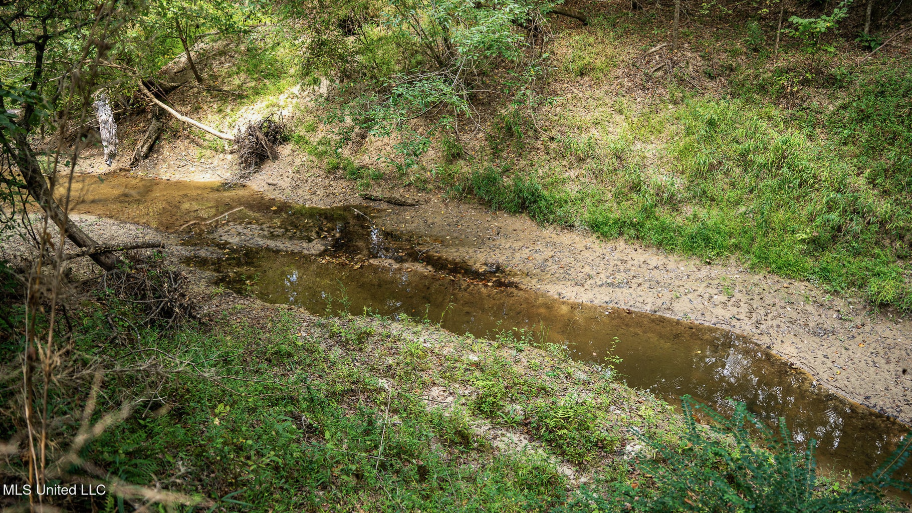 302 Acres in Hermanville, Claiborne County, MS Land