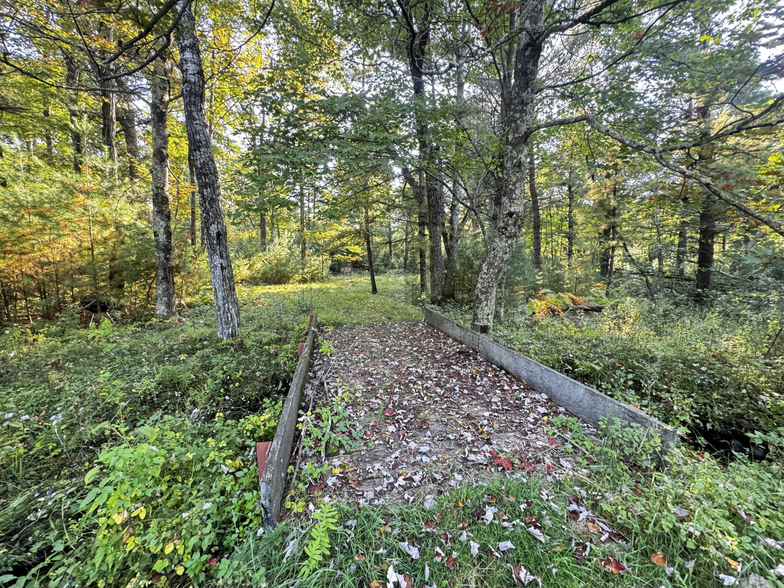 40 acres just north of Wisconsin Dells with abundant deer & turkey habitat