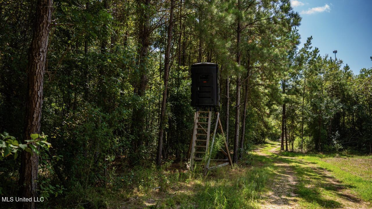 Hunting Land for Sale in Copiah County MS – Dixie Garden 46