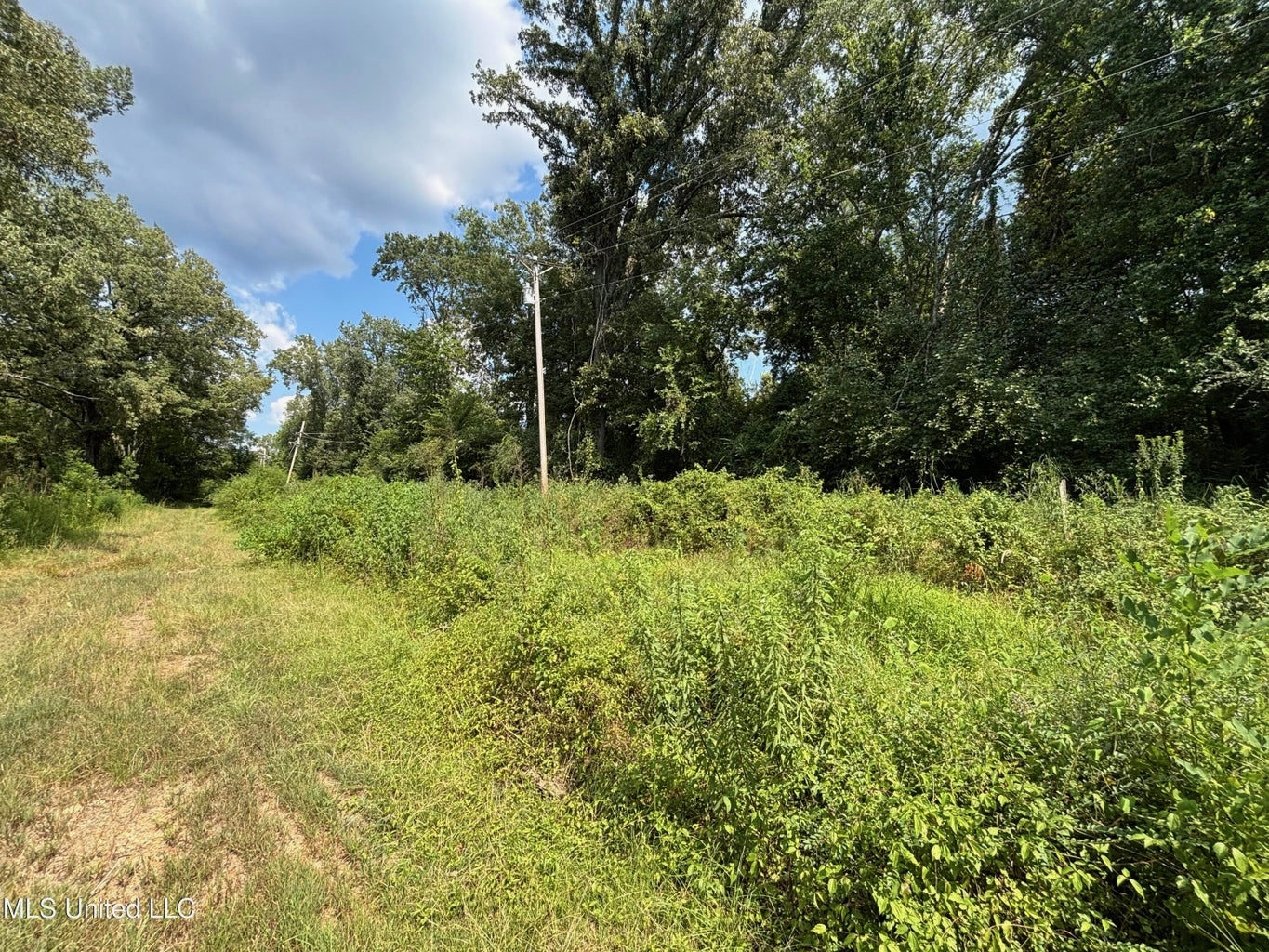 88 Acres for Sale in Hinds County Jackson, MS