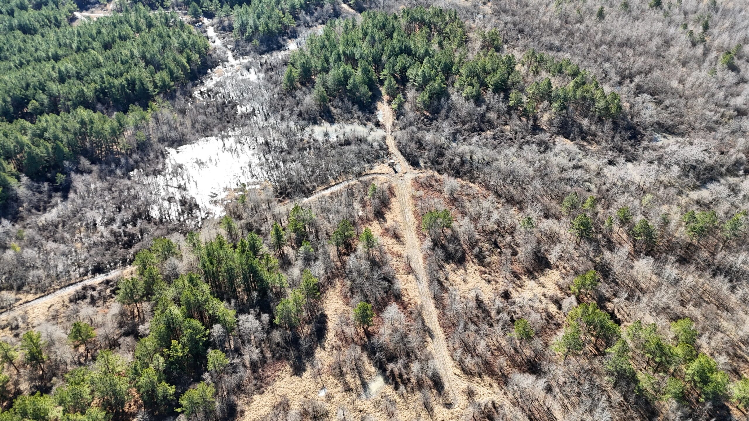 Duck, Deer, and Fishing Land for Sale on Little River