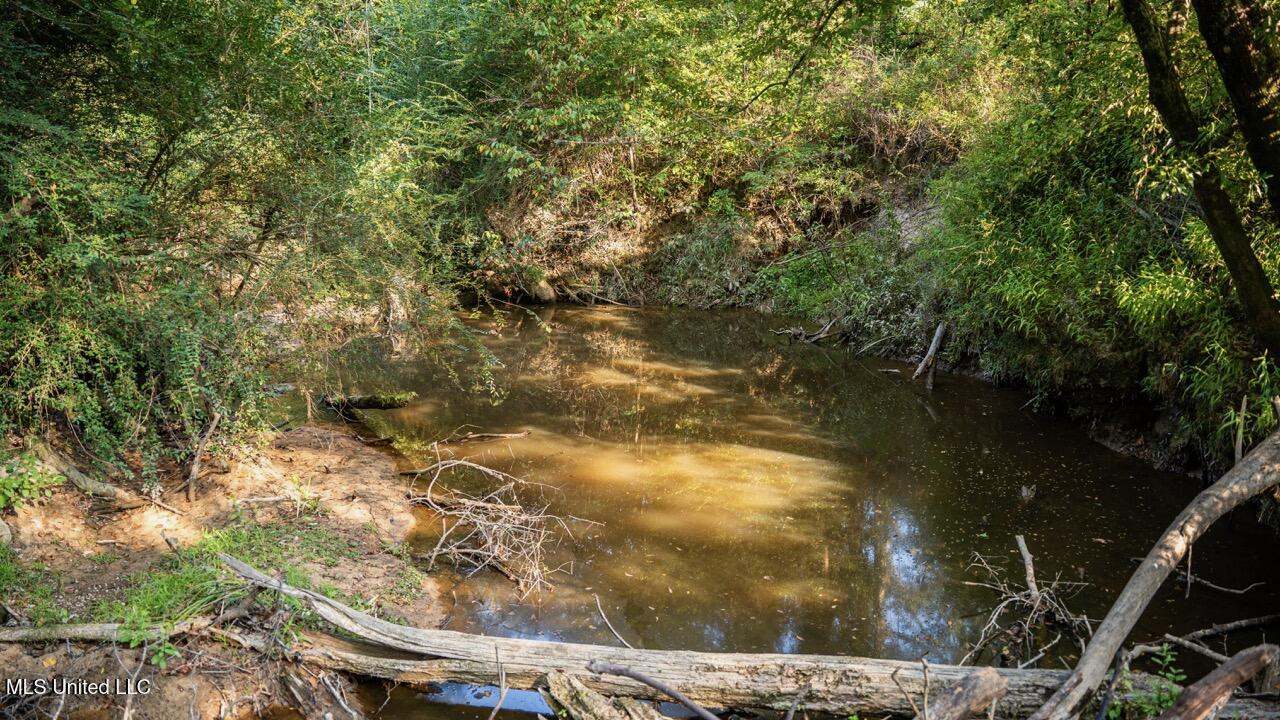 Cotton Creek 169 Acres for Sale in Amite County, MS