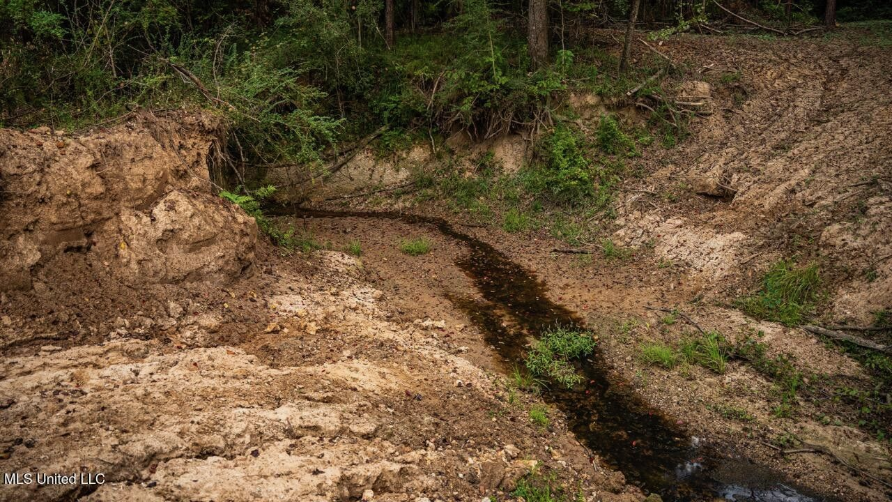 Ramsey Creek 67 Acres for Sale in Centreville, MS