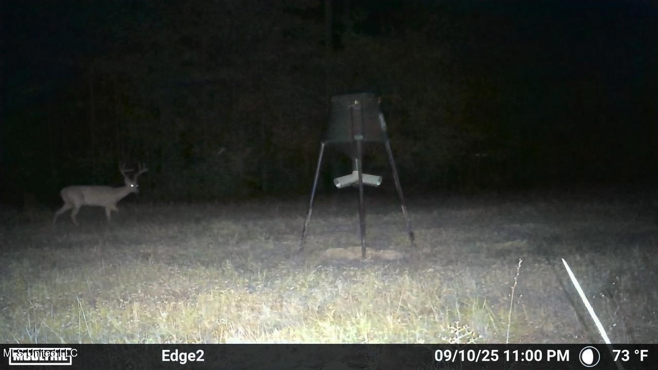 113 Acres Hunting Land with Home in Amite County, MS