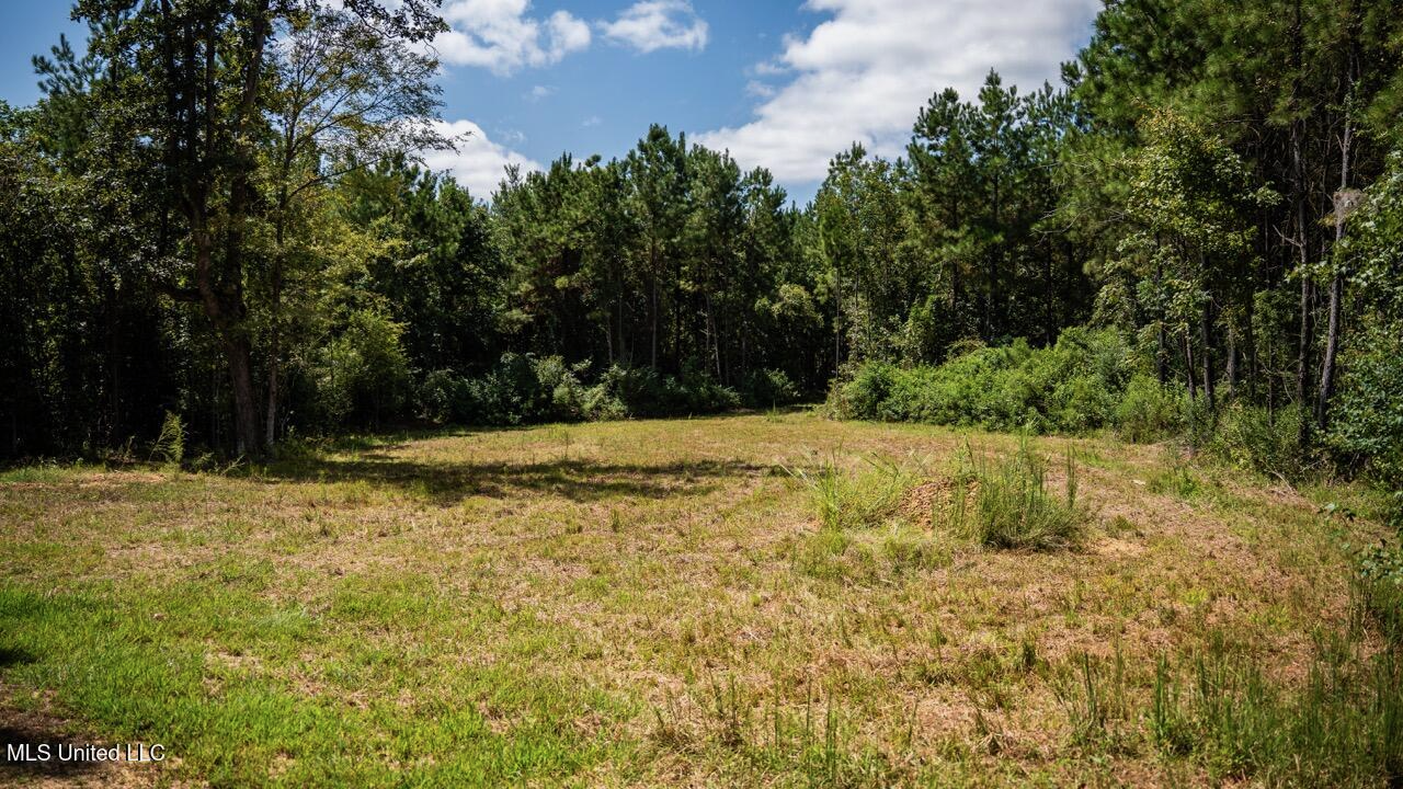 Hunting Land for Sale in Copiah County MS – Dixie Garden 46