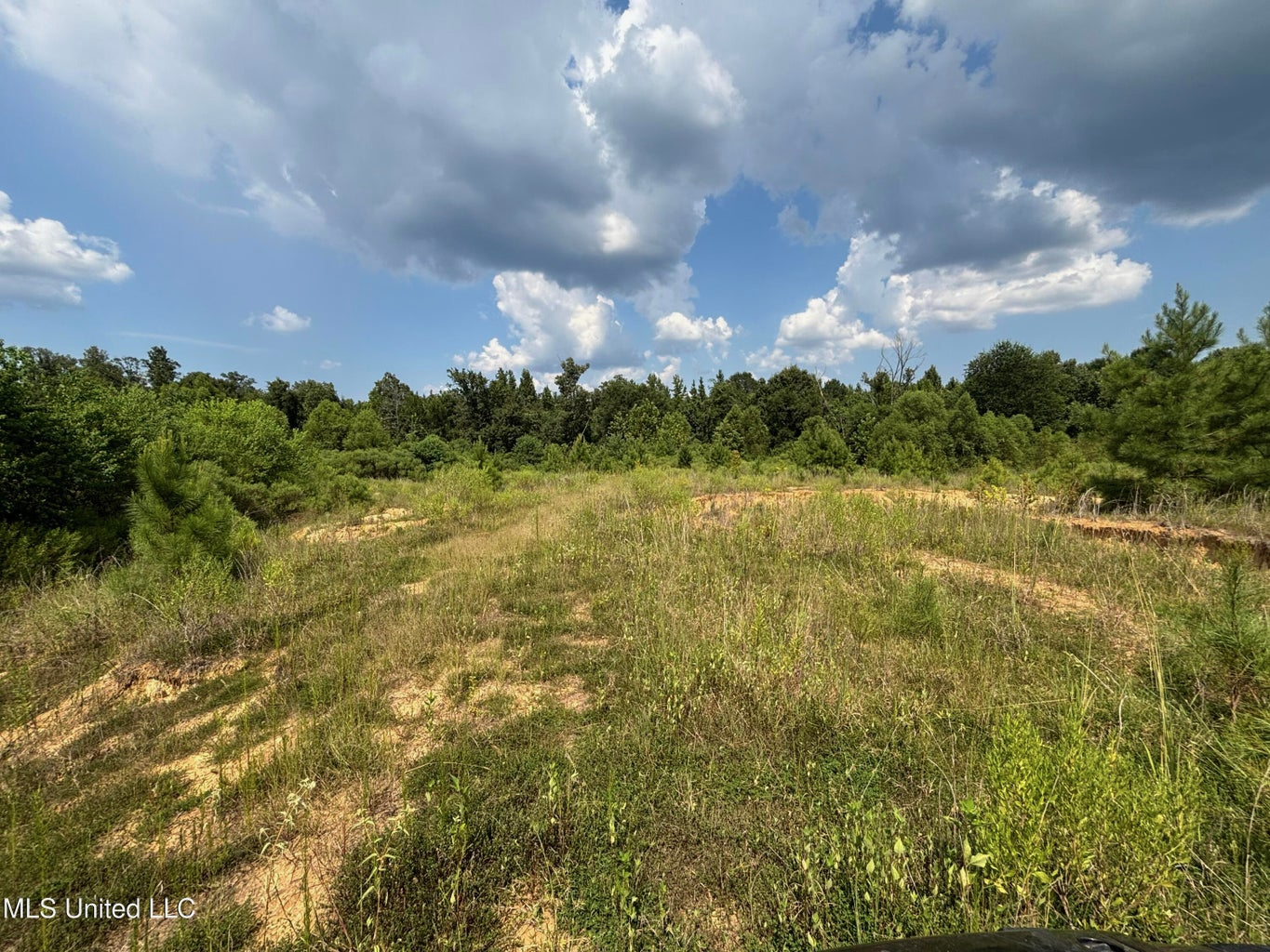88 Acres for Sale in Hinds County Jackson, MS