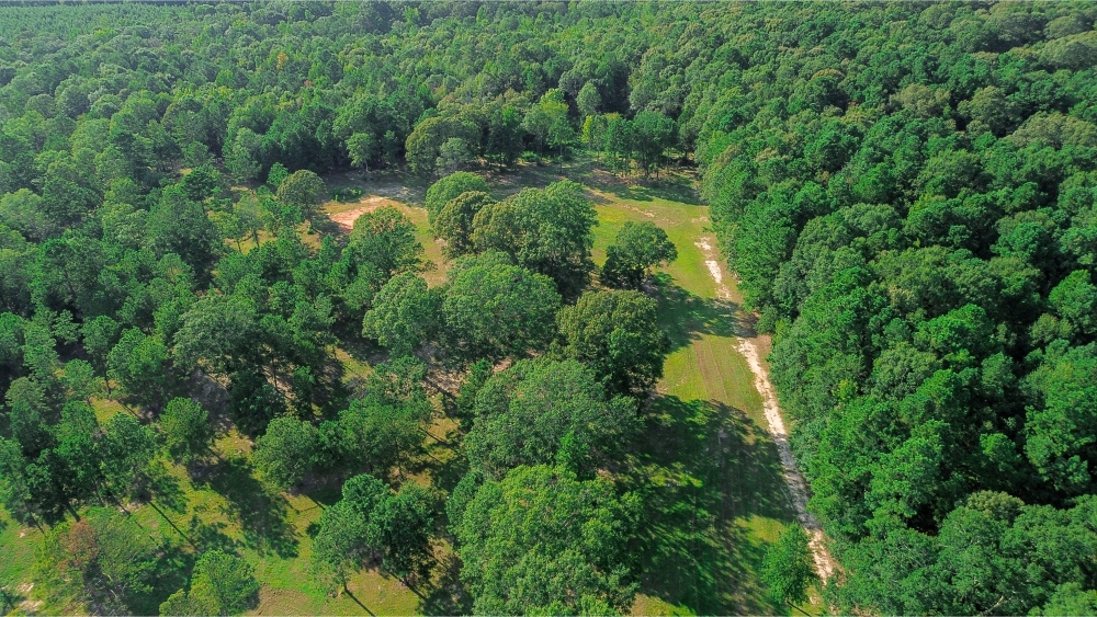 Northeast Lincoln Parish Land for Sale
