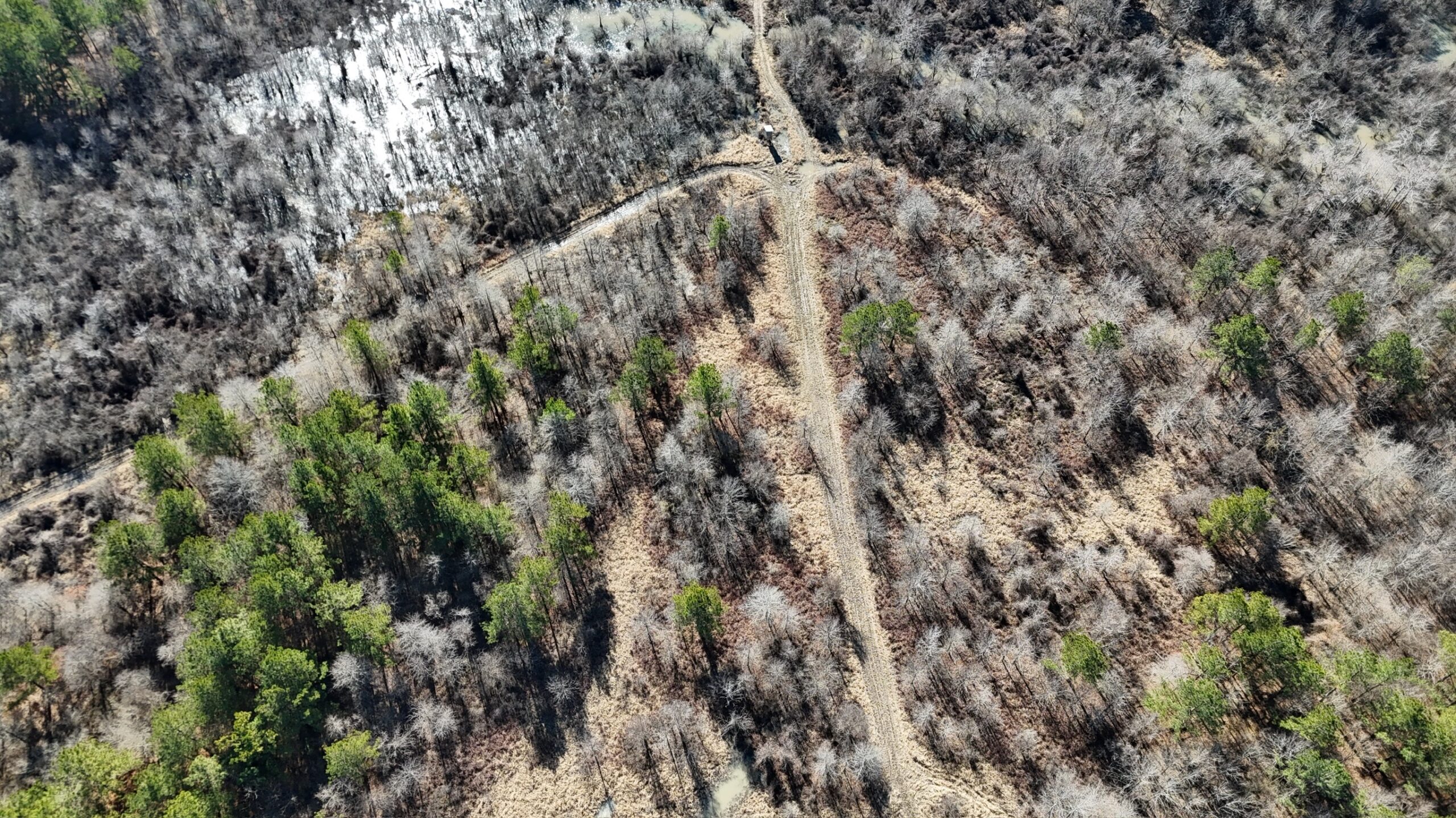 Duck, Deer, and Fishing Land for Sale on Little River