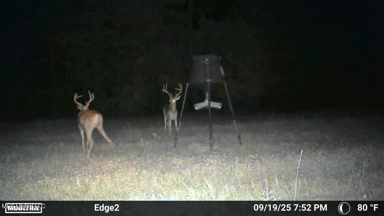 113 Acres Hunting Land with Home in Amite County, MS