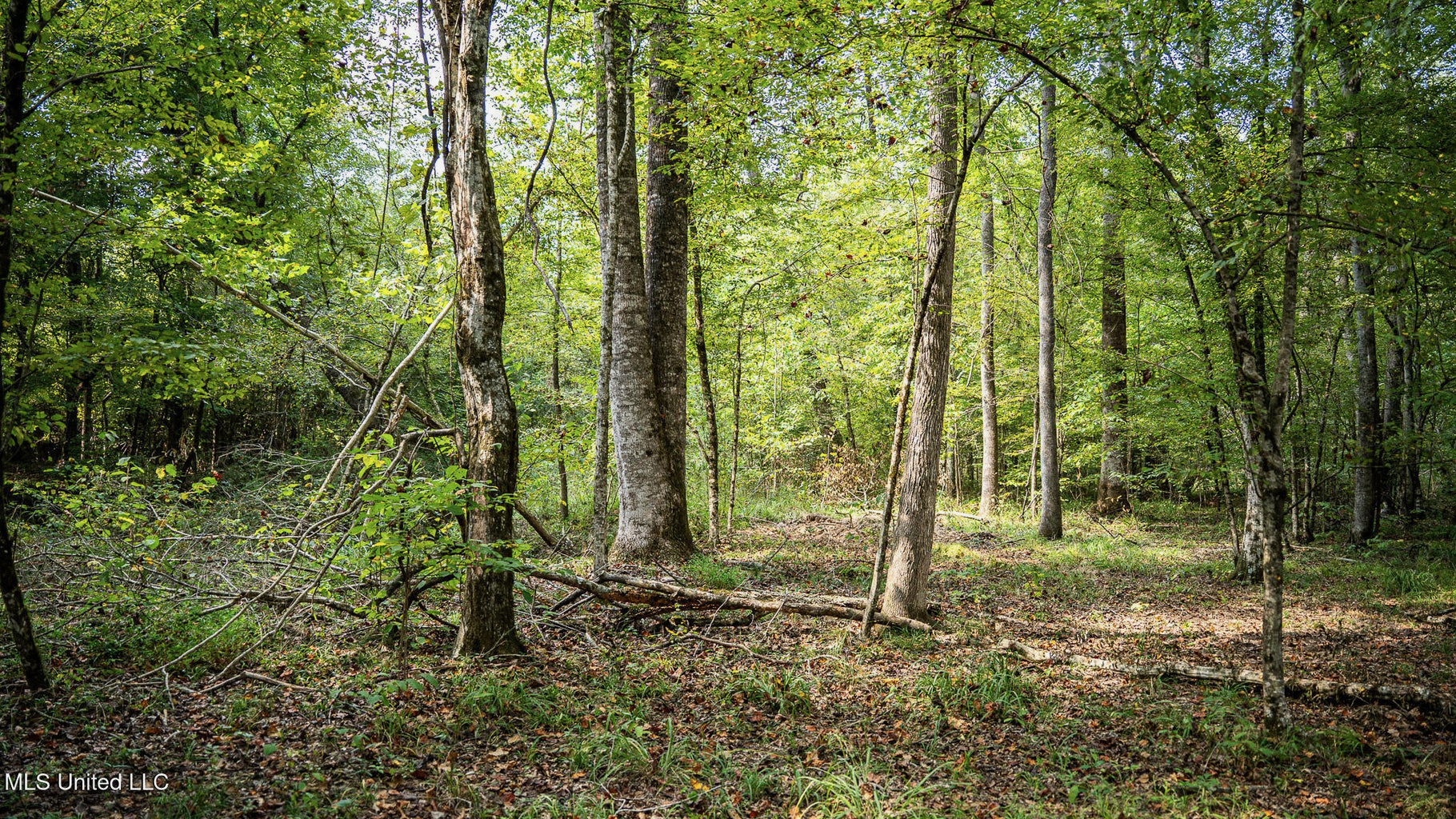302 Acres in Hermanville, Claiborne County, MS Land