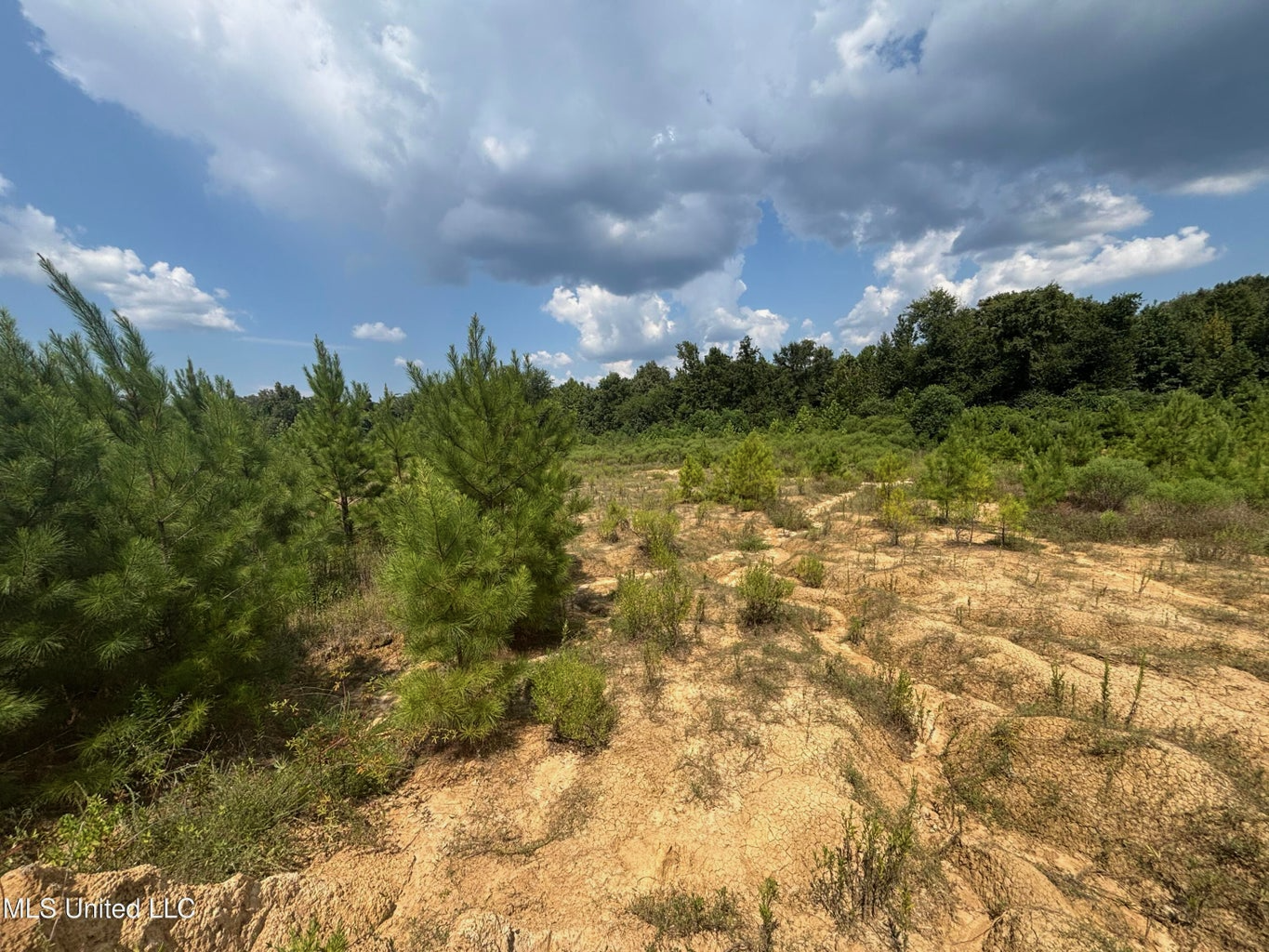 88 Acres for Sale in Hinds County Jackson, MS