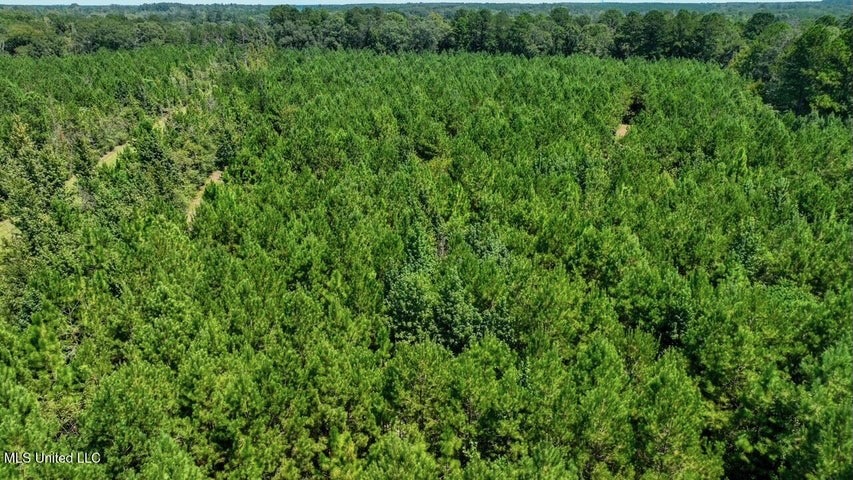 Magnolia MS 18.19 Acres with Mobile Home & Hunting Land