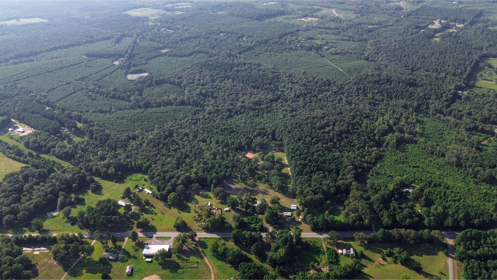 Northeast Lincoln Parish Land for Sale