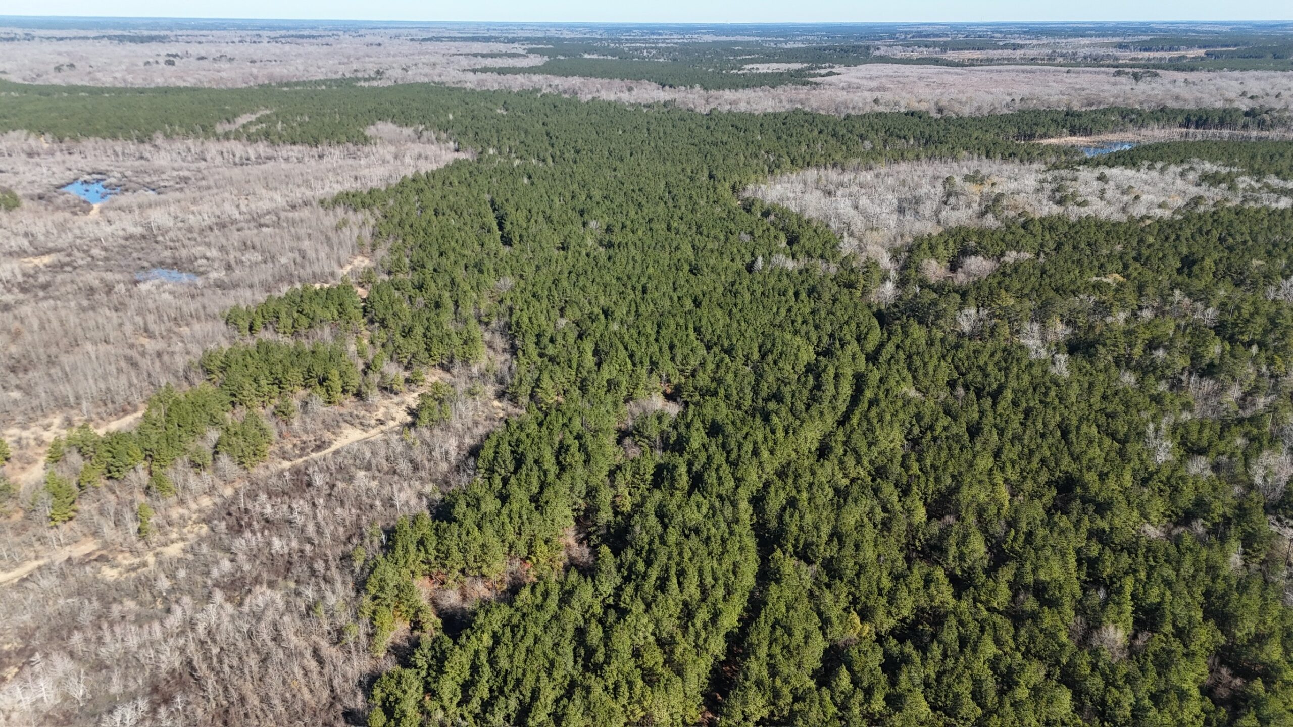 Duck, Deer, and Fishing Land for Sale on Little River