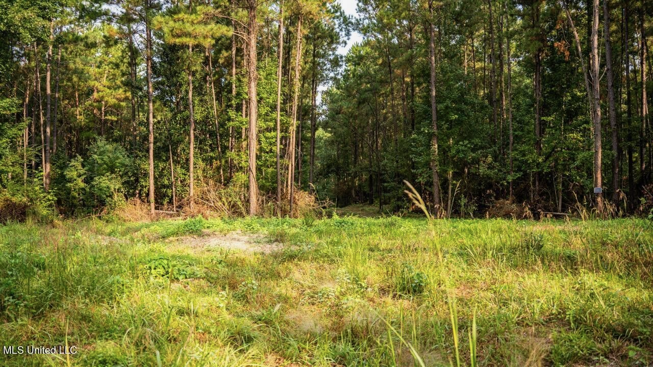 Ramsey Creek 67 Acres for Sale in Centreville, MS