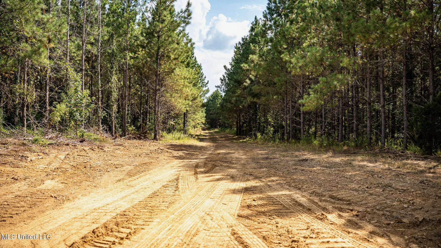 302 Acres in Hermanville, Claiborne County, MS Land