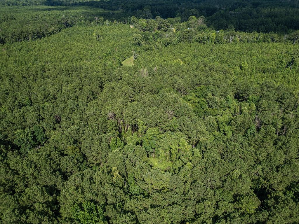 Gloster 38 – Hunting Land in Amite County, Mississippi