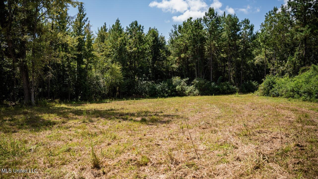 Hunting Land for Sale in Copiah County MS – Dixie Garden 46
