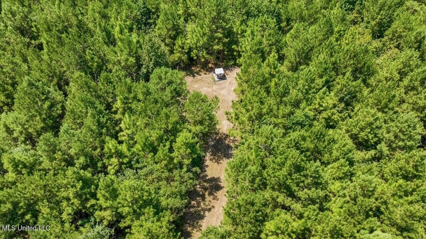 Magnolia MS 18.19 Acres with Mobile Home & Hunting Land