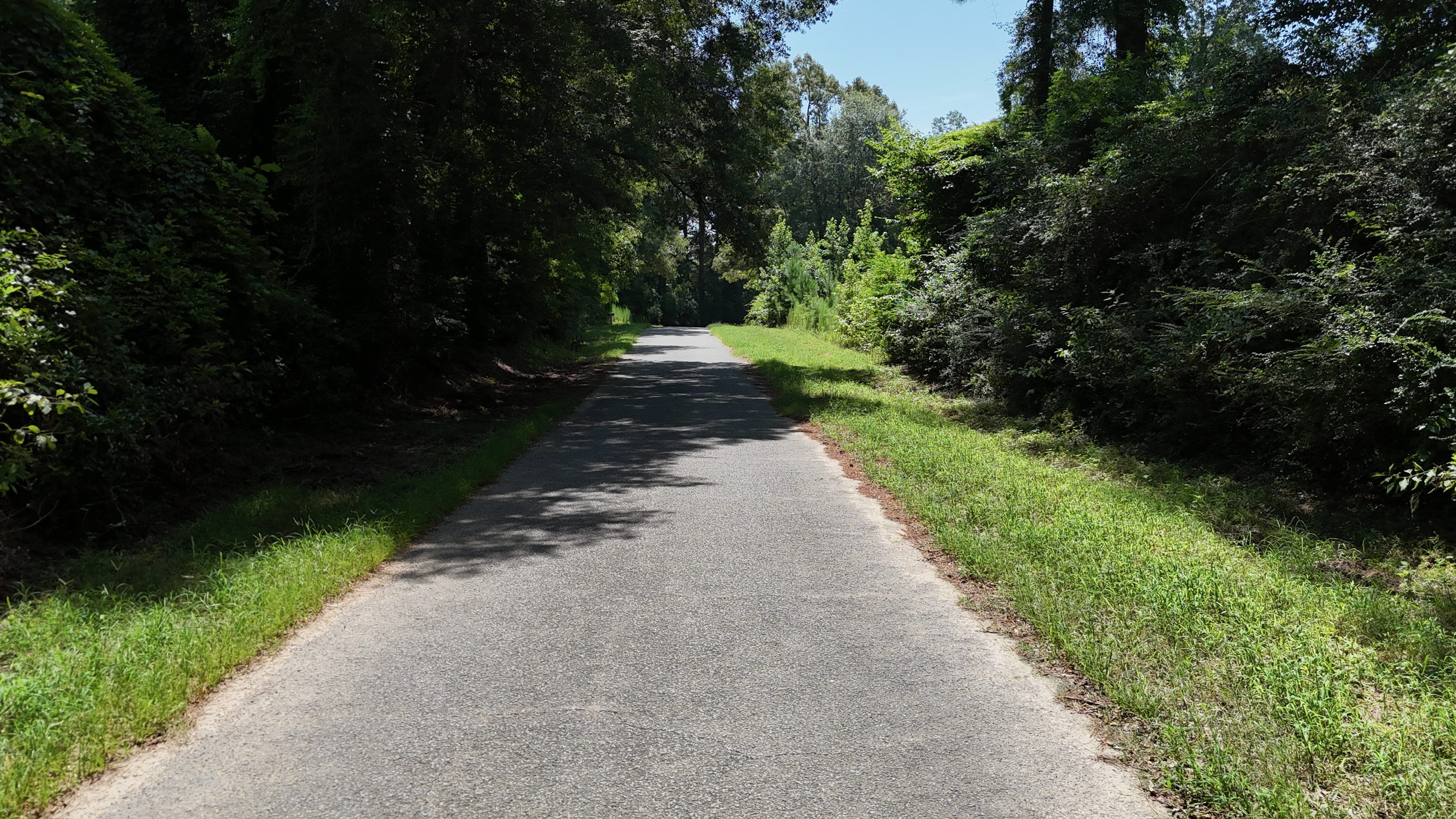 Hunting Property and Homesite in Jackson Parish LA