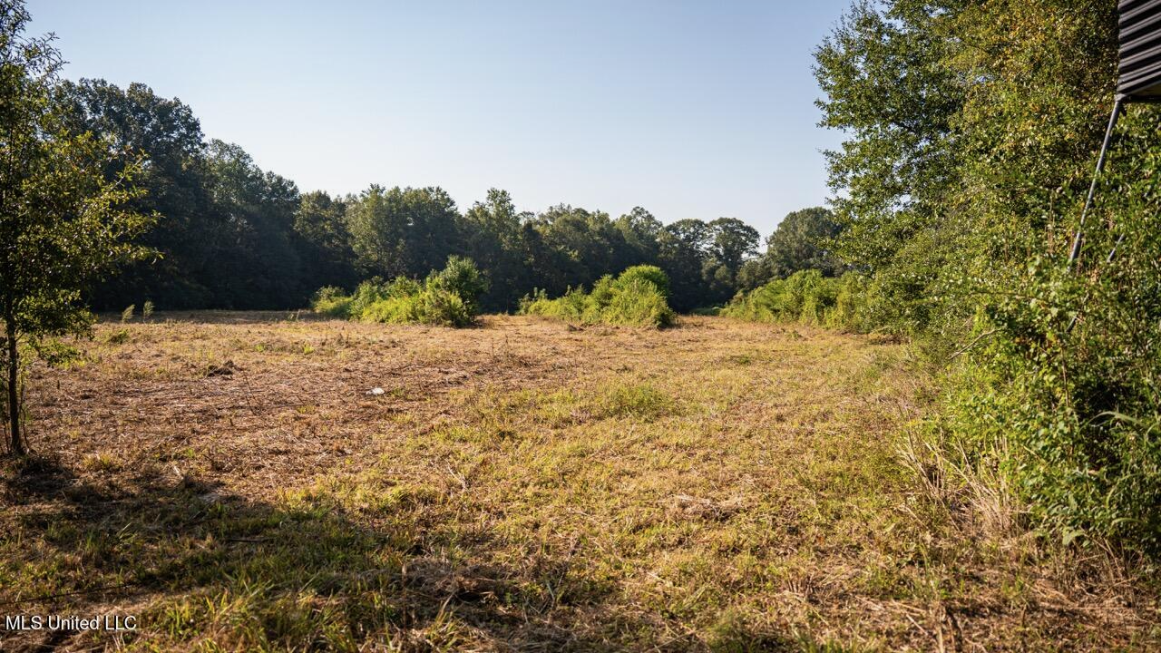 Cotton Creek 169 Acres for Sale in Amite County, MS