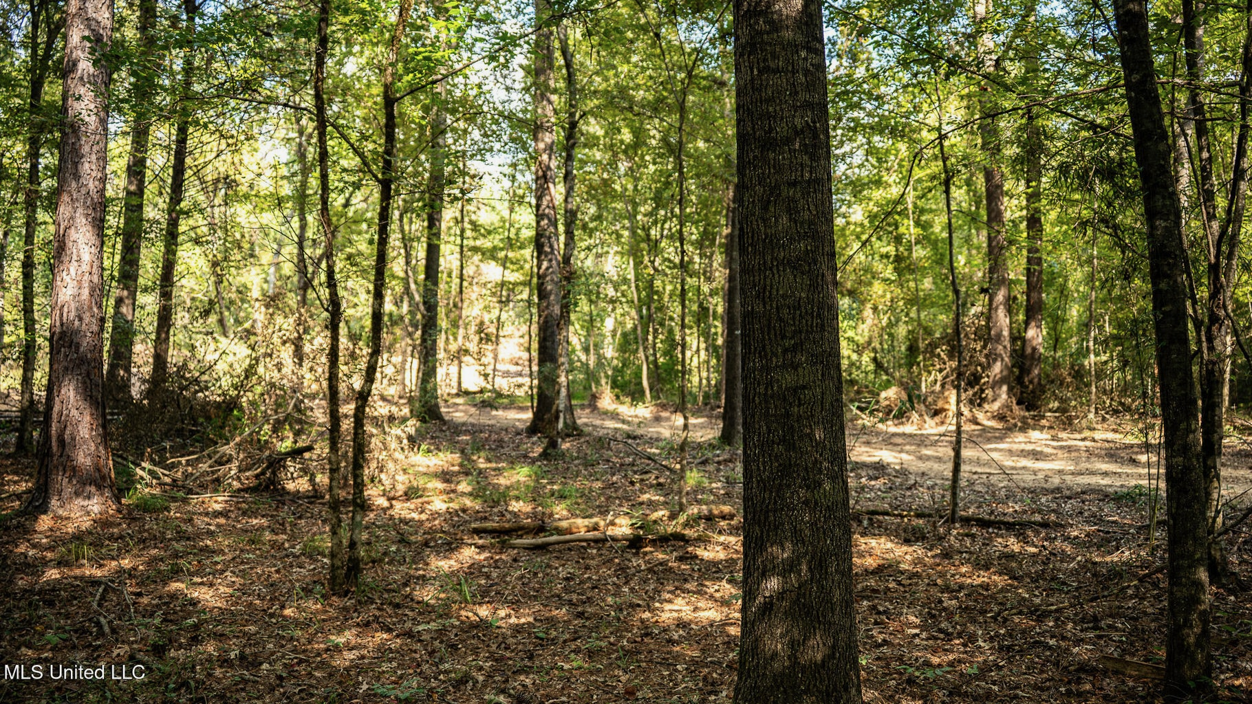 302 Acres in Hermanville, Claiborne County, MS Land