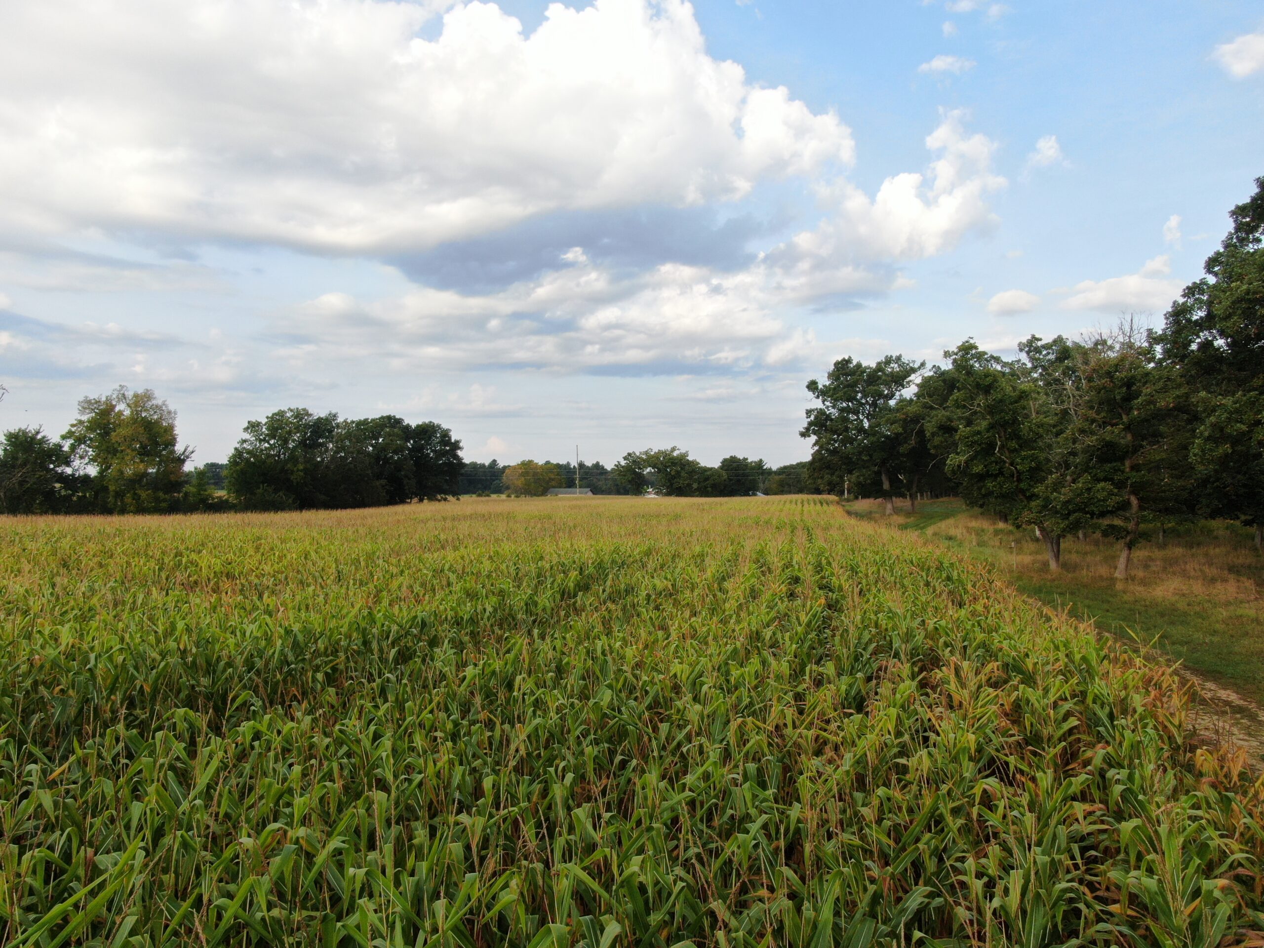 40 acres just north of Wisconsin Dells with abundant deer & turkey habitat