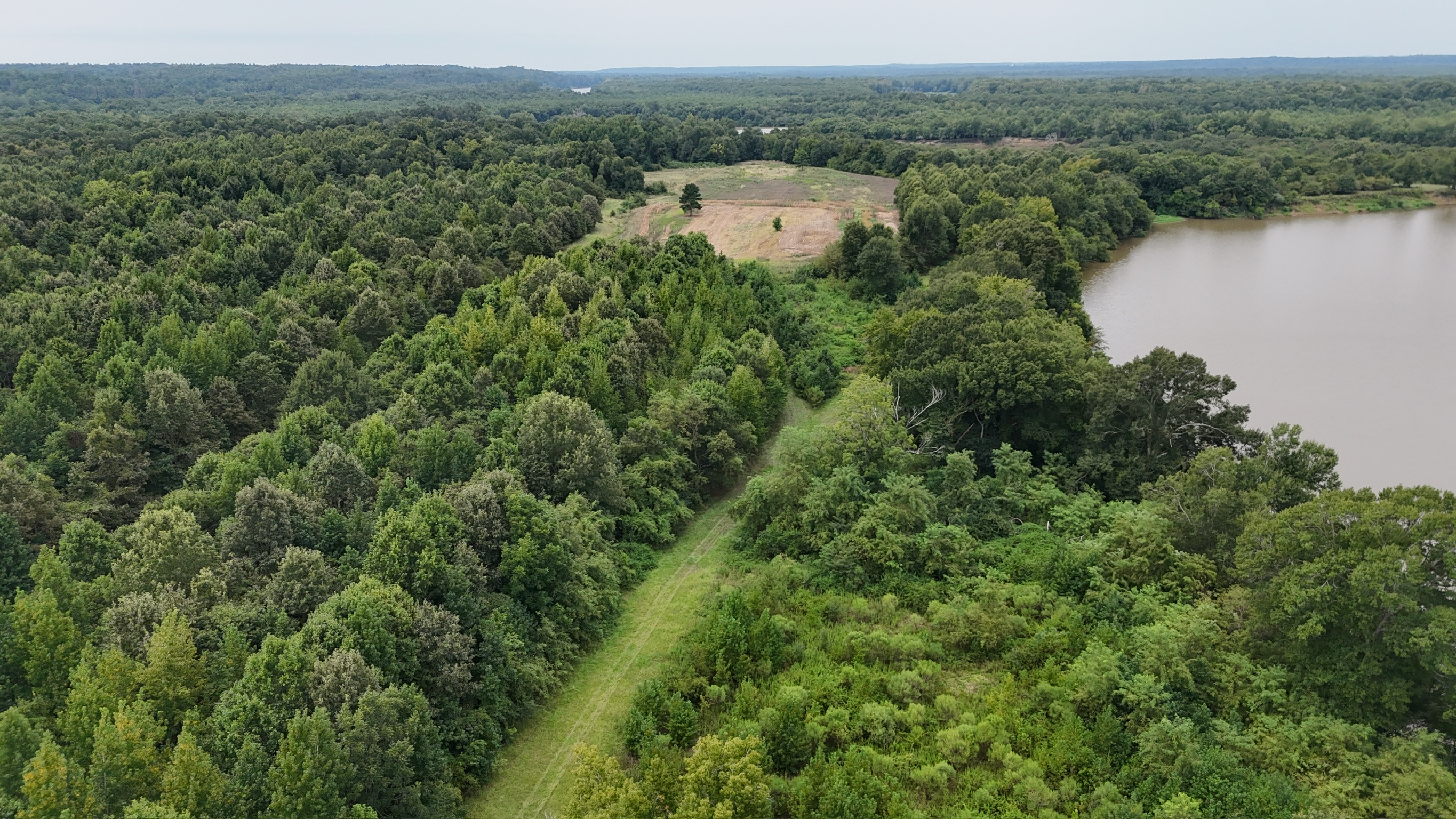 Duck and Deer Hunting Land for Sale Wisner  LA