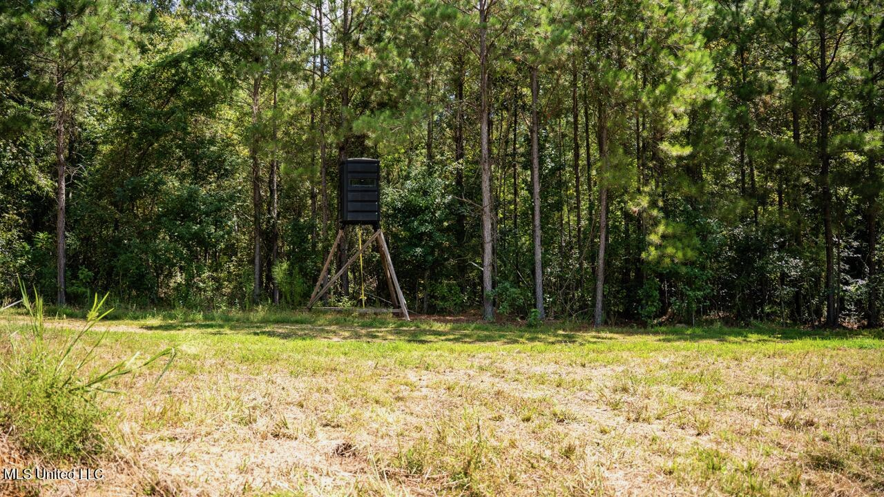 Hunting Land for Sale in Copiah County MS – Dixie Garden 46