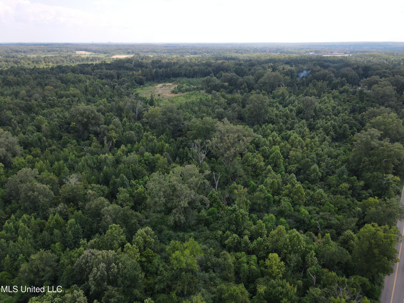 88 Acres for Sale in Hinds County Jackson, MS