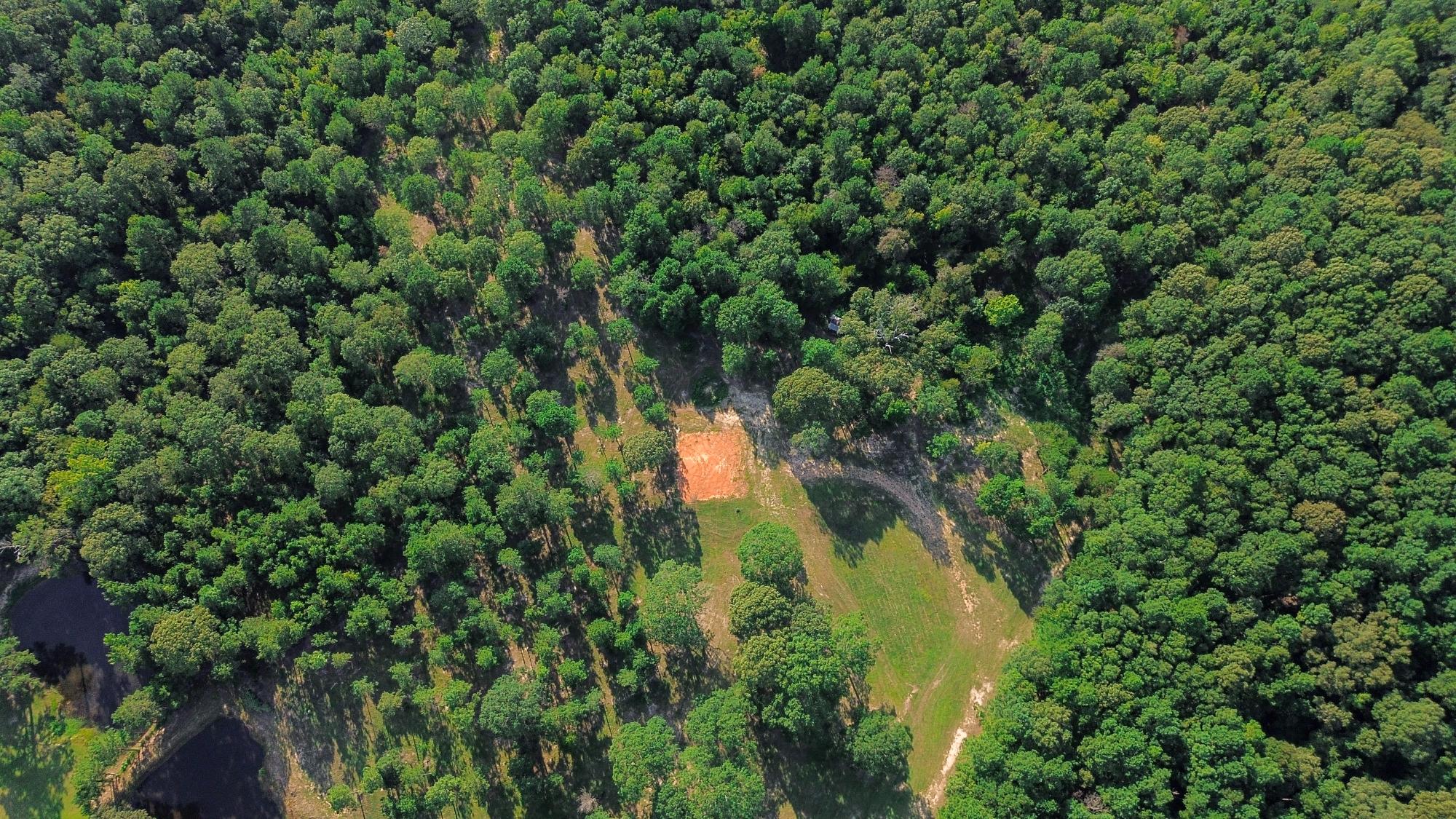 9.025 Acres Timber and Hunting Land for Sale NE Lincoln Parish