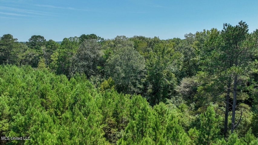 Magnolia MS 18.19 Acres with Mobile Home & Hunting Land