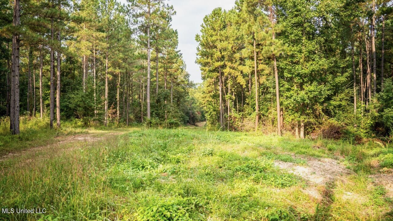 Ramsey Creek 67 Acres for Sale in Centreville, MS