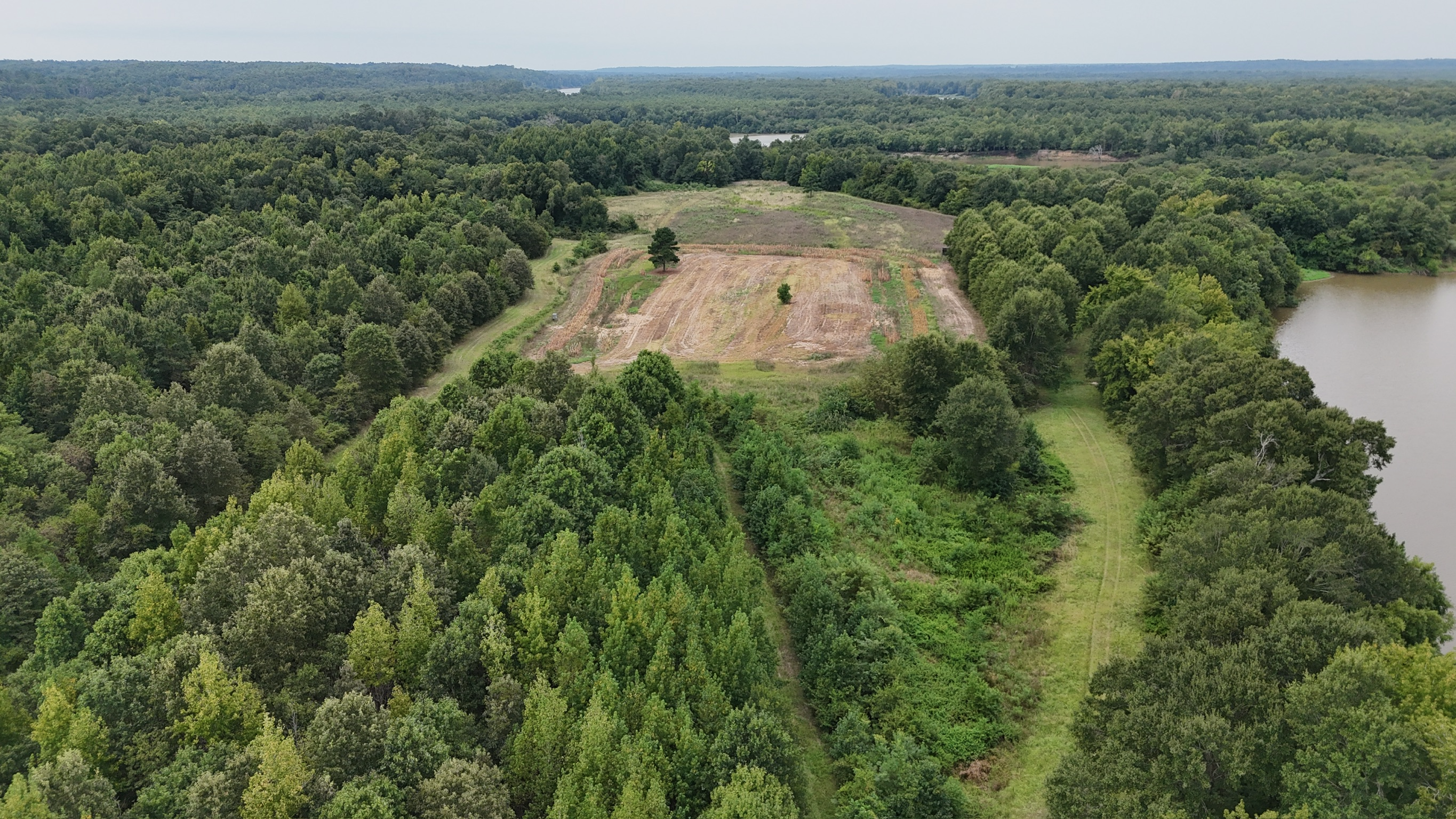 Duck and Deer Hunting Land for Sale Wisner  LA