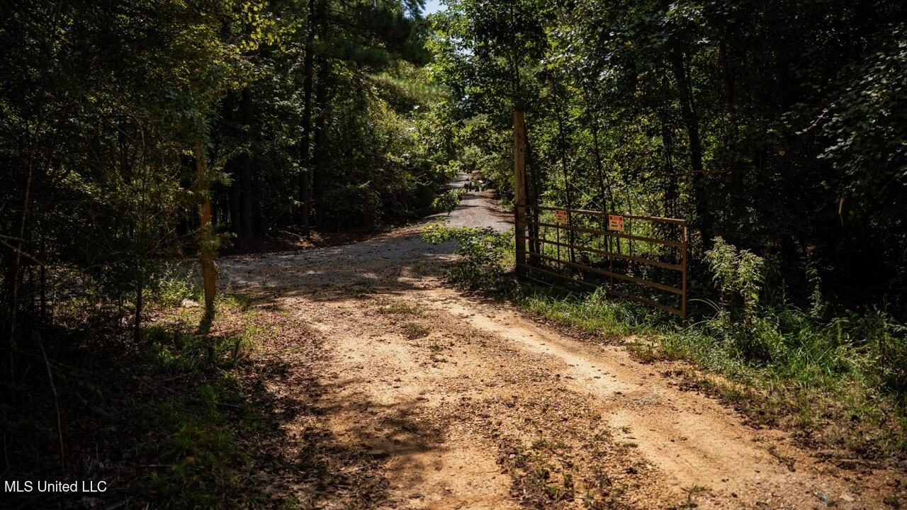 Hunting Land for Sale in Copiah County MS – Dixie Garden 46